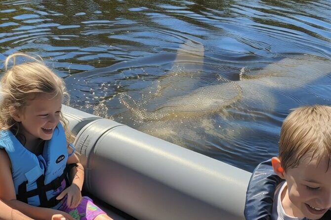 Dolphin and Manatee Boat Tour from Cocoa Beach and Port Canaveral - Discovering Florida’s Space Coast in a New Way