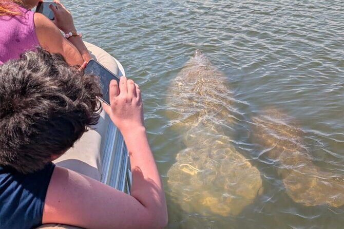 Dolphin and Manatee Boat Tour from Cocoa Beach and Port Canaveral - The Space Coast from the Water