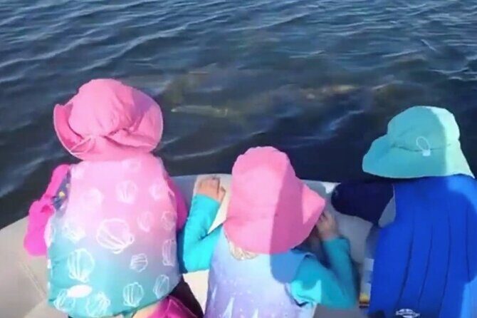 Dolphin and Manatee Boat Tour from Cocoa Beach and Port Canaveral - What to Expect During the Itinerary