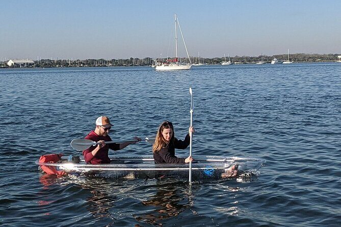 Dolphin and Manatee Clear Kayak or Paddleboard Tour - What to Expect from the Experience