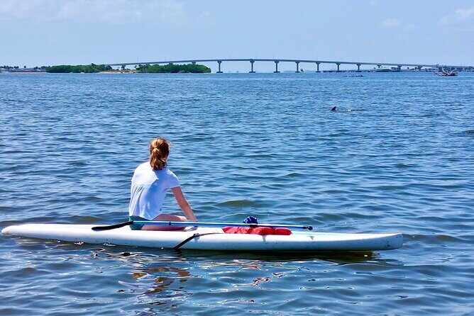 Dolphin and Manatee Clear Kayak or Paddleboard Tour - Practical Details and Tips