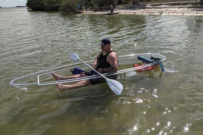Dolphin and Manatee Clear Kayak or Paddleboard Tour - Who Should Consider This Tour?