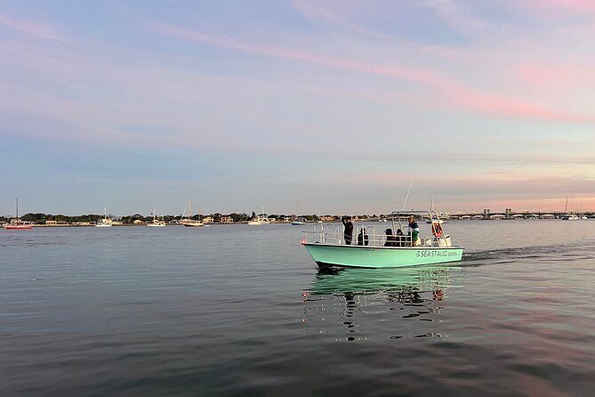 Dolphin and Nature Boat Excursion - Key Points