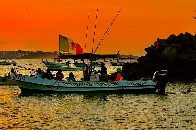 Dolphin and Whale Watching Boat Trip in Puerto Escondido - Who Is This Tour Best For?