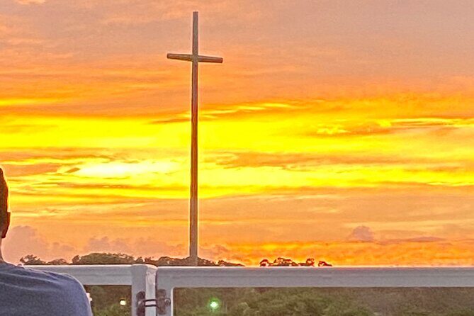 Dolphin and Wildlife History Tour - What You Can Expect on the Tour