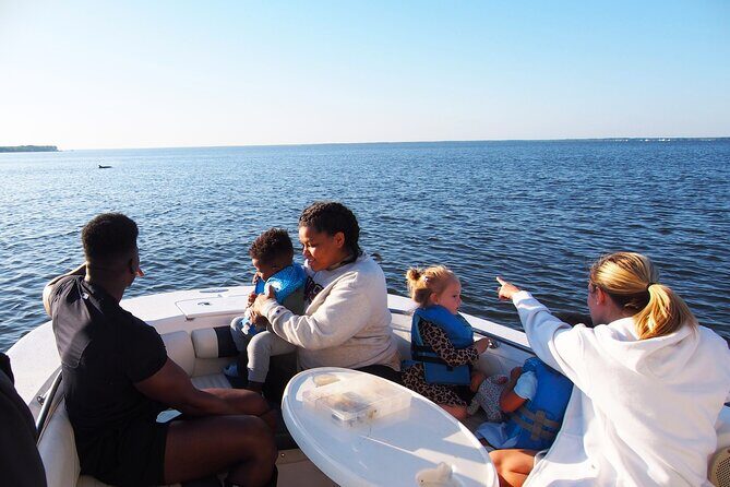 Dolphin cruise in Santa Rosa Beach - An In-Depth Look at the Dolphin Cruise Experience