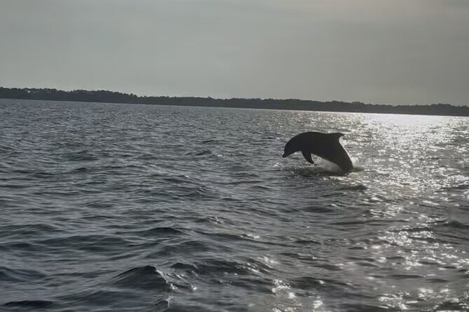 Dolphin cruise in Santa Rosa Beach - The Sum Up: Who Is This Dolphin Cruise Best For?
