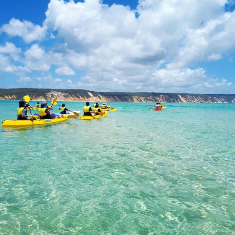 Dolphin Kayak Tour & Beach 4X4 National Park Tour (Private) - Practical Details and Logistics