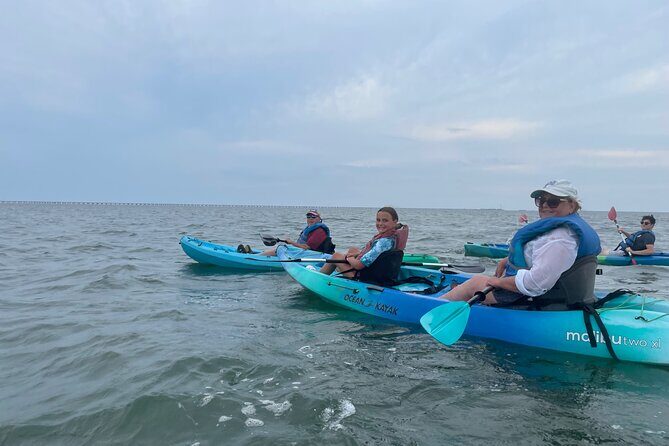 Dolphin Kayak Tour in Virginia Beach Must know how to swim - Why This Tour Is Perfect for You