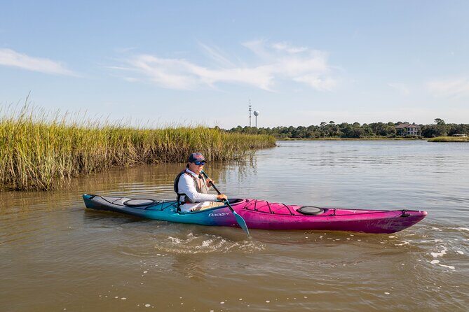 Dolphin Kayak Tour on Folly Beach - What Makes the Folly Beach Dolphin Kayak Tour Special?