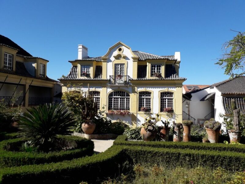 DOLPHIN LOVERS FULL DAY TOUR - Key Points