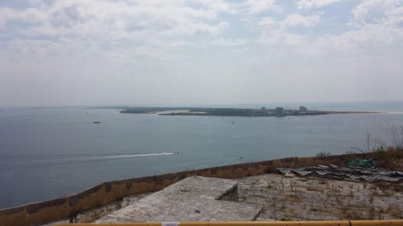 DOLPHIN LOVERS FULL DAY TOUR - Who Will Love This Tour?