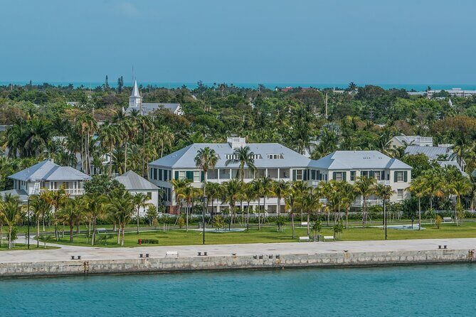 Dolphin Morning Watching & Snorkeling + open bar + 1 day Hop-On Hop-Off Fun - Who Should Book This Tour?