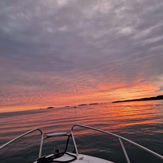Dolphin private sunset tour Rovinj - FAQ