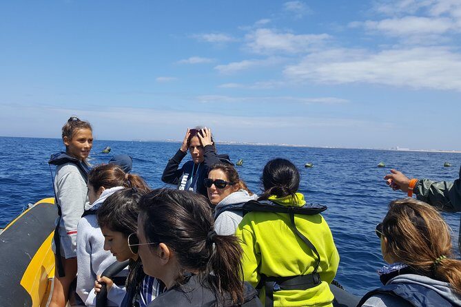 Dolphin Route - Final Thoughts