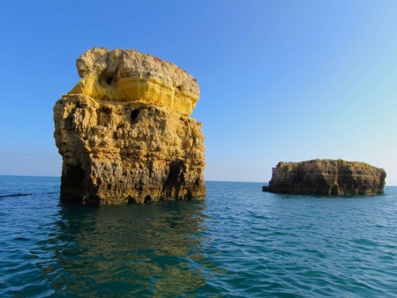 Dolphin Safari and Cave Tour in Vilamoura - What the Reviews Reveal