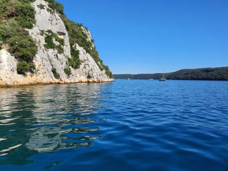 Dolphin safari every evening - Key Points