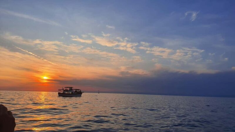 Dolphin safari every evening - Final Thoughts