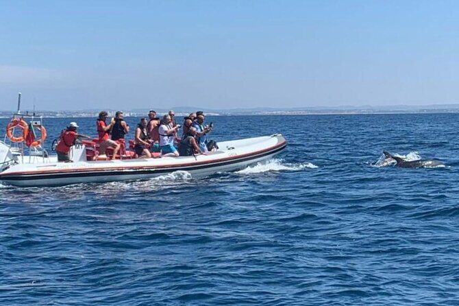 Dolphin Safari, São Rafael Caves & Coastline. - Key Points