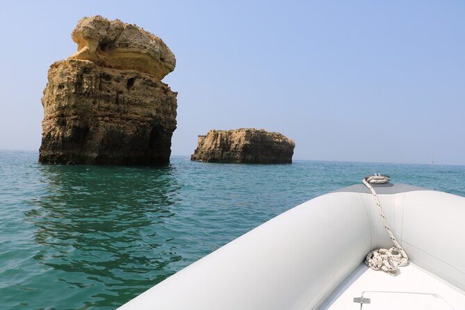 Dolphin Safari, São Rafael Caves & Coastline. - What to Expect on the Dolphin Safari Tour