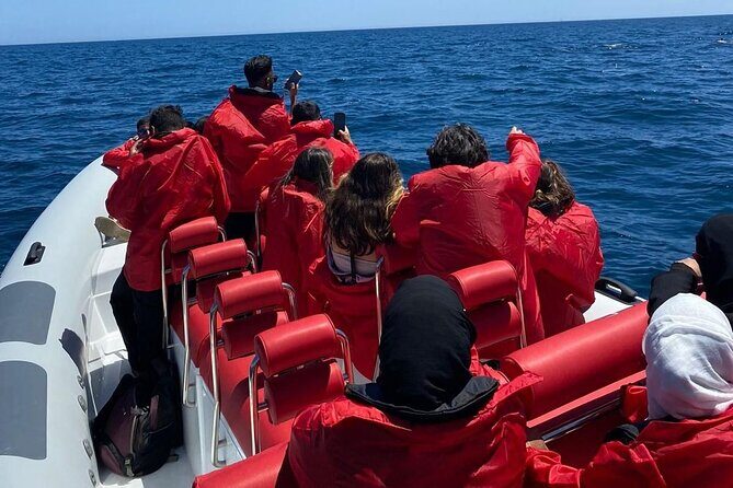 Dolphin Safari, São Rafael Caves & Coastline. - FAQ