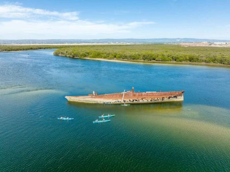 Dolphin Sanctuary and Ships Graveyard Kayak Tour - Equipment and Comfort
