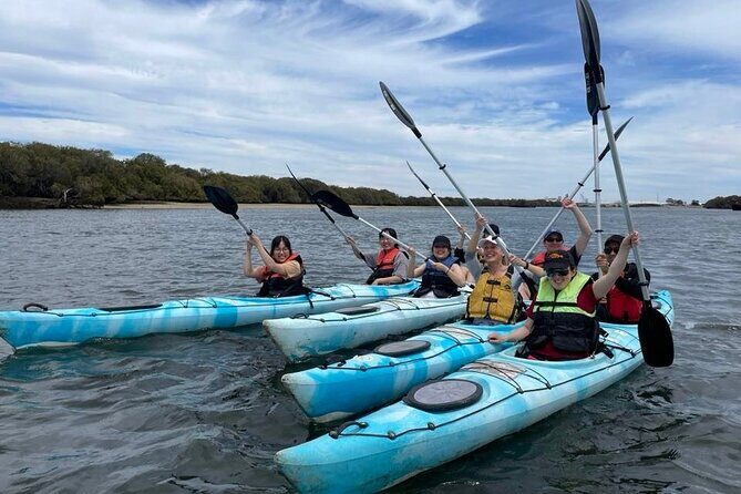 Dolphin Sanctuary Kayak Tour Adelaide - Introduction to the Dolphin Sanctuary Kayak Tour