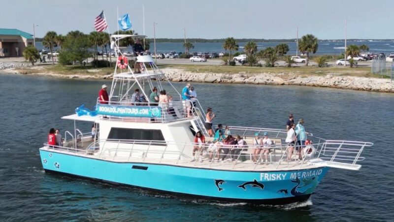 Dolphin & Scenic Bay Sightseeing Cruise Up to 49, Pensacola - Who Is This Tour Best For?