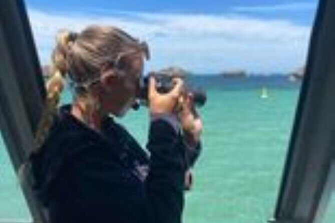 Dolphin, Sea Lion and Penguin Island Cruise - Final Thoughts