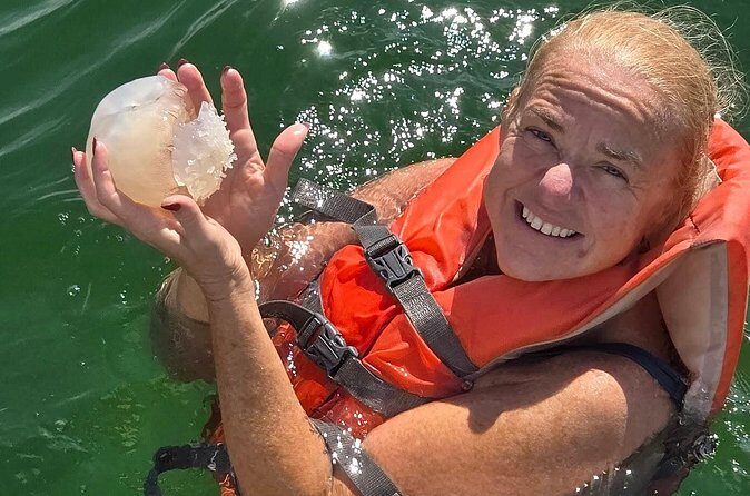 Dolphin Sightseeing and Shell Island Snorkel Tour - Final Thoughts