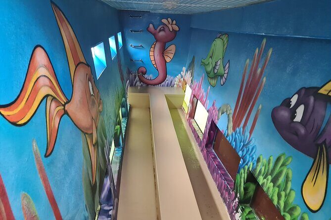 Dolphin Sightseeing Boat Tour from Benalmadena - A Detailed Look at the Dolphin Sightseeing Boat Tour