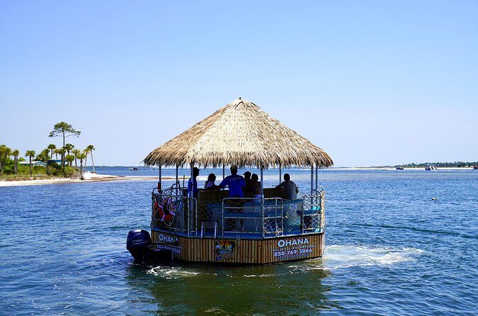 Dolphin Sightseeing Tiki Boat Tour 90 minutes - Authentic Feedback from Travelers