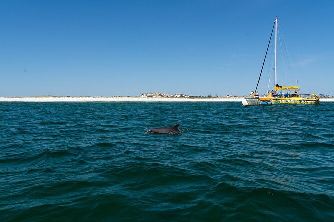 Dolphin Sightseeing Tour on Lazy Daze - Key Points