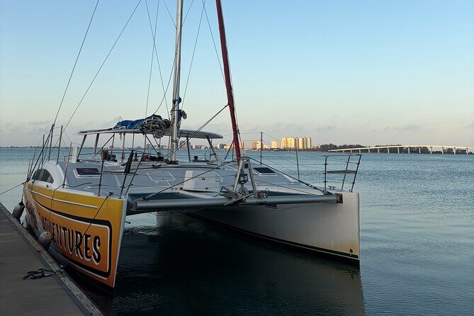 Dolphin Sightseeing Tour on Lazy Daze - The Sum Up: Who Should Book?