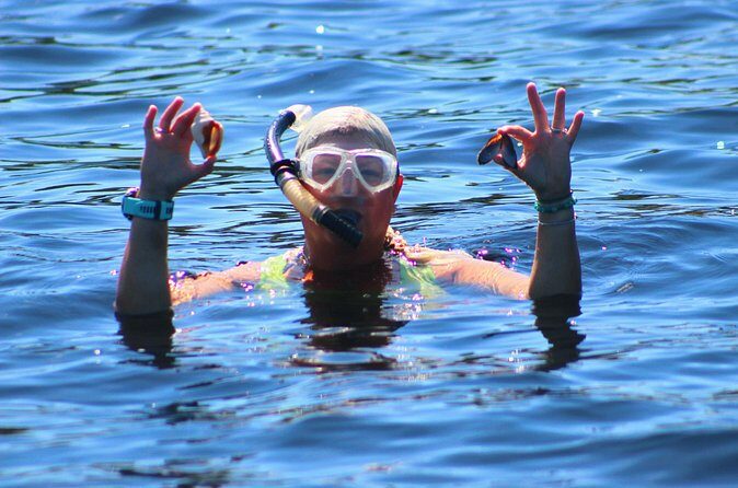 Dolphin Snorkel Tour - The Sum Up: Who’s It Perfect For?