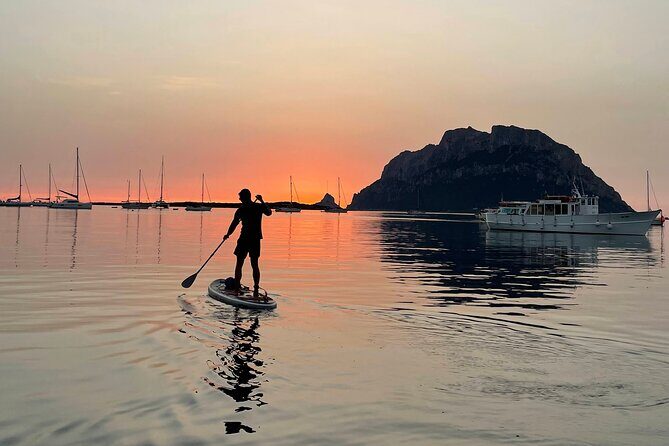 Dolphin-spotting SUP tour with Golfo Aranci aperitif - Final thoughts: Is it worth it?