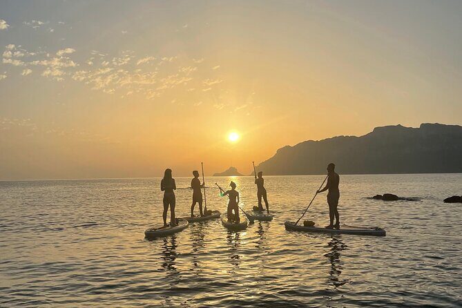 Dolphin-spotting SUP tour with Golfo Aranci aperitif - FAQs