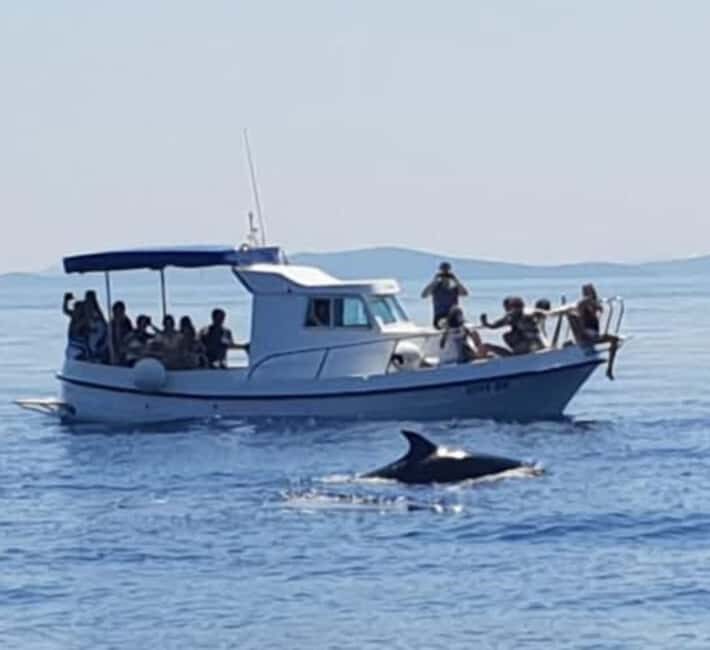 Dolphin tour 2 hours - Practical Tips for a Smooth Experience