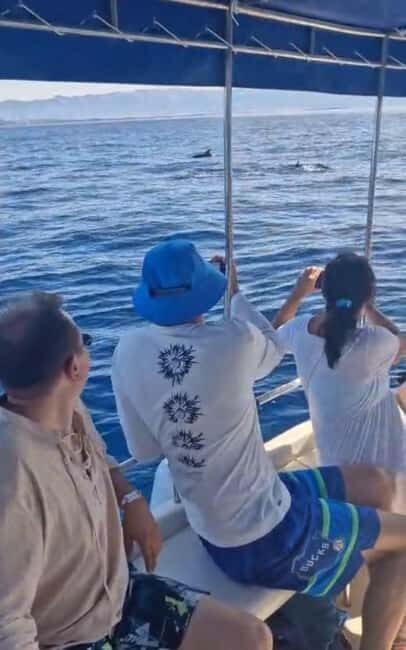 Dolphin tour 2 hours - Who Should Consider This Tour?