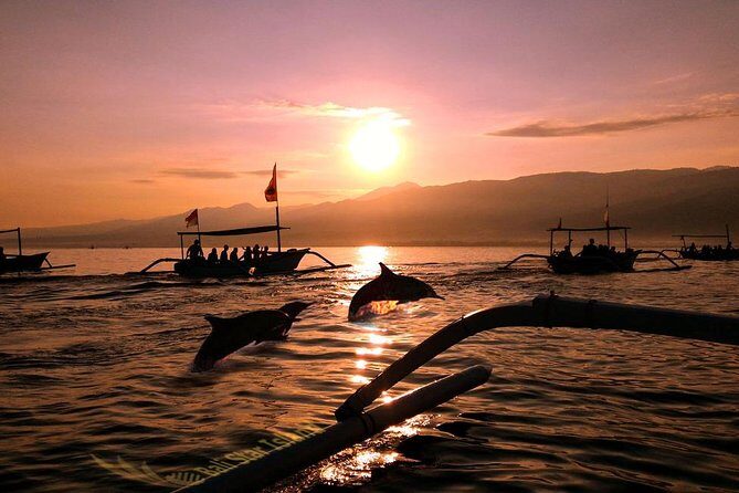 Dolphin Tour and Sunrise Watching in Lovina Beach - All Inclusive - Exploring the Dolphin Tour and Sunrise Watching in Lovina Beach