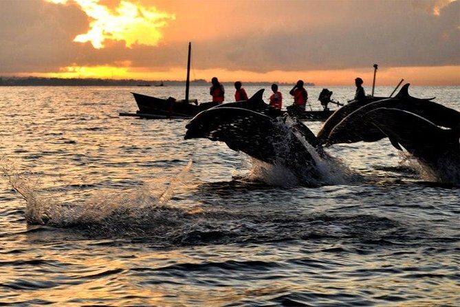 Dolphin Tour and Sunrise Watching in Lovina Beach - All Inclusive - Key Points