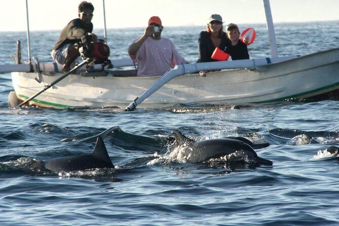 Dolphin Tour and Sunrise Watching in Lovina Beach - All Inclusive - FAQs
