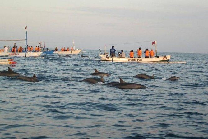 Dolphin Tour - Waterfall - Wanagiri Hill - Temple on the Lake - Free WiFi - An In-Depth Look at the Tour