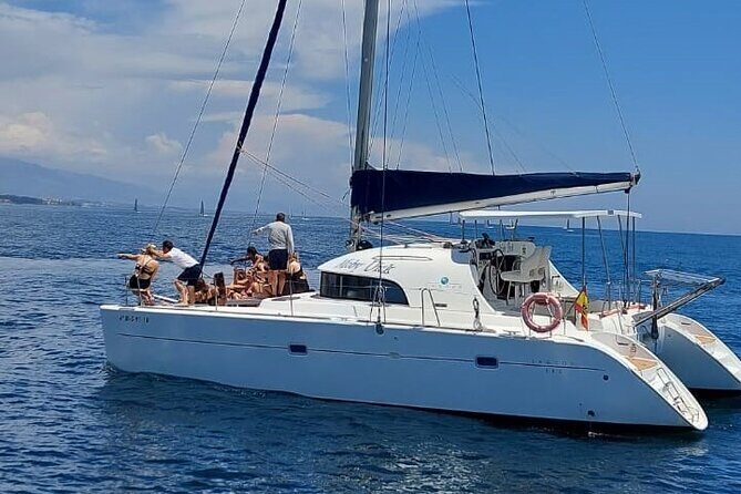 Dolphin trips on a catamaran - An In-Depth Look at the Marbella Dolphin Catamaran Experience