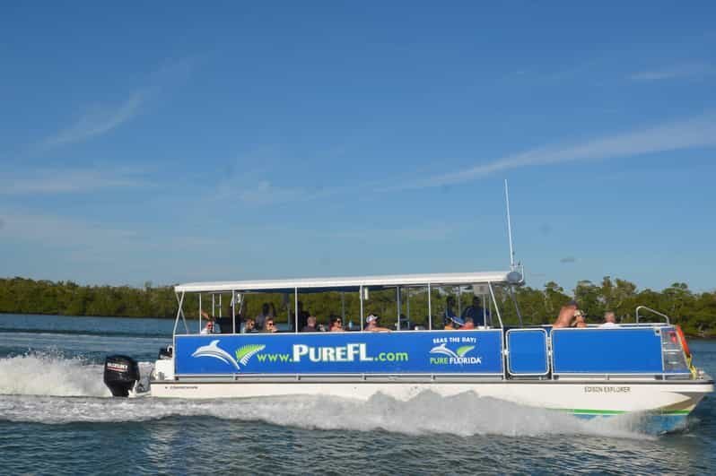Dolphin Watch/Eco Cruise - Dolphin Watch/Eco Cruise Review: An Authentic Florida Wildlife Adventure