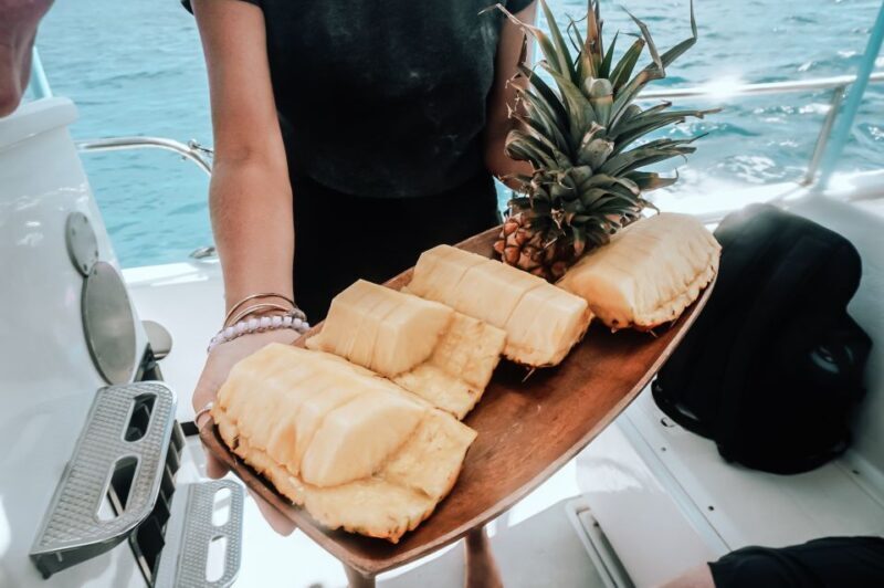 Dolphin Watch Snorkel and BBQ in Kona, Big Island - The Experience: What You Can Expect