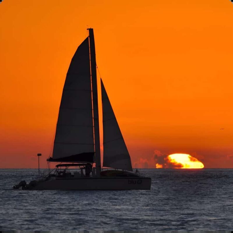 Dolphin Watch + Sunset Sail - Key Points