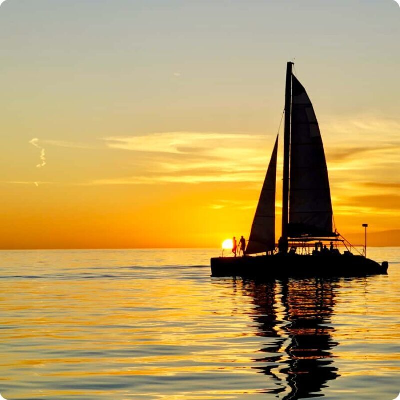 Dolphin Watch + Sunset Sail - Why This Tour Offers Good Value