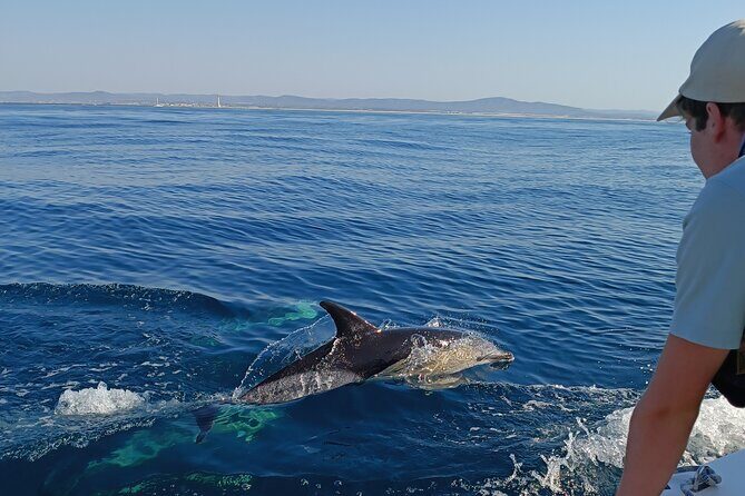 Dolphin Watching + 2 Islands Tour - From Faro - The Itinerary and What You Can Expect