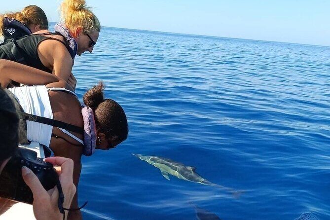 Dolphin Watching + 2 Islands Tour - From Faro - FAQ